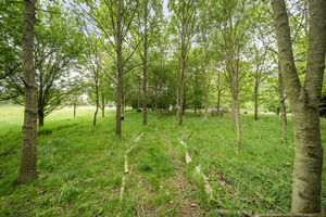 Photo 21- click for photo gallery